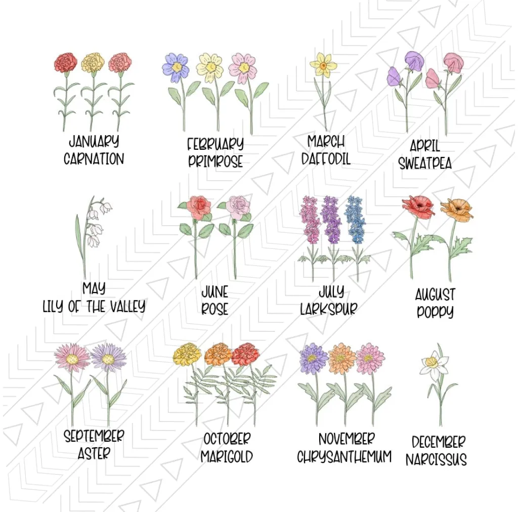 Our Beautiful Garden With Names